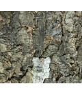 Granorte revestimiento de corcho natural rustidecor DP70