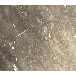 Piedra de marmol natural nautilus gris