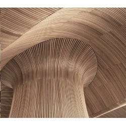 Energia Natural tarima para exteriores de eucaliptus... 2