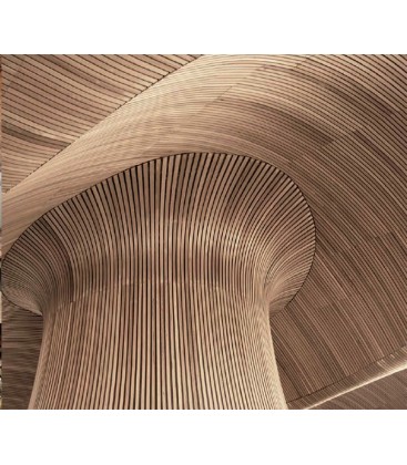 Energia Natural tarima para exteriores de eucaliptus tratado colina