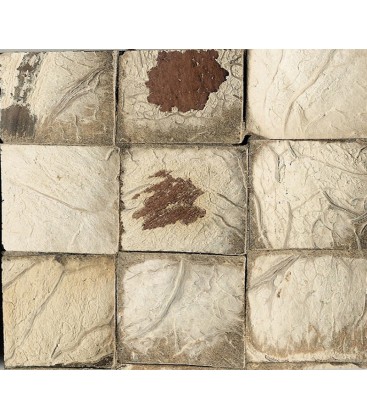 Ekobe teselas de coco natural Aoba line pcn 30 w