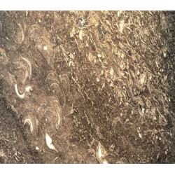 Piedra de marmol natural nautilus gris 2